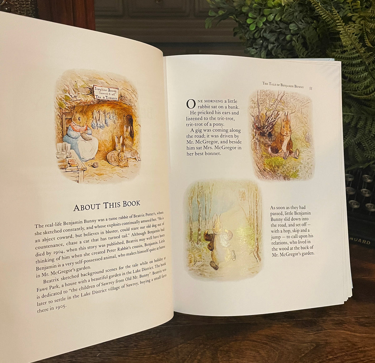 The Complete Peter Rabbit by Beatrix Potter, Collectible Hardcover Classic, Bonded Leather with Gilded Pages and Ribbon Marker